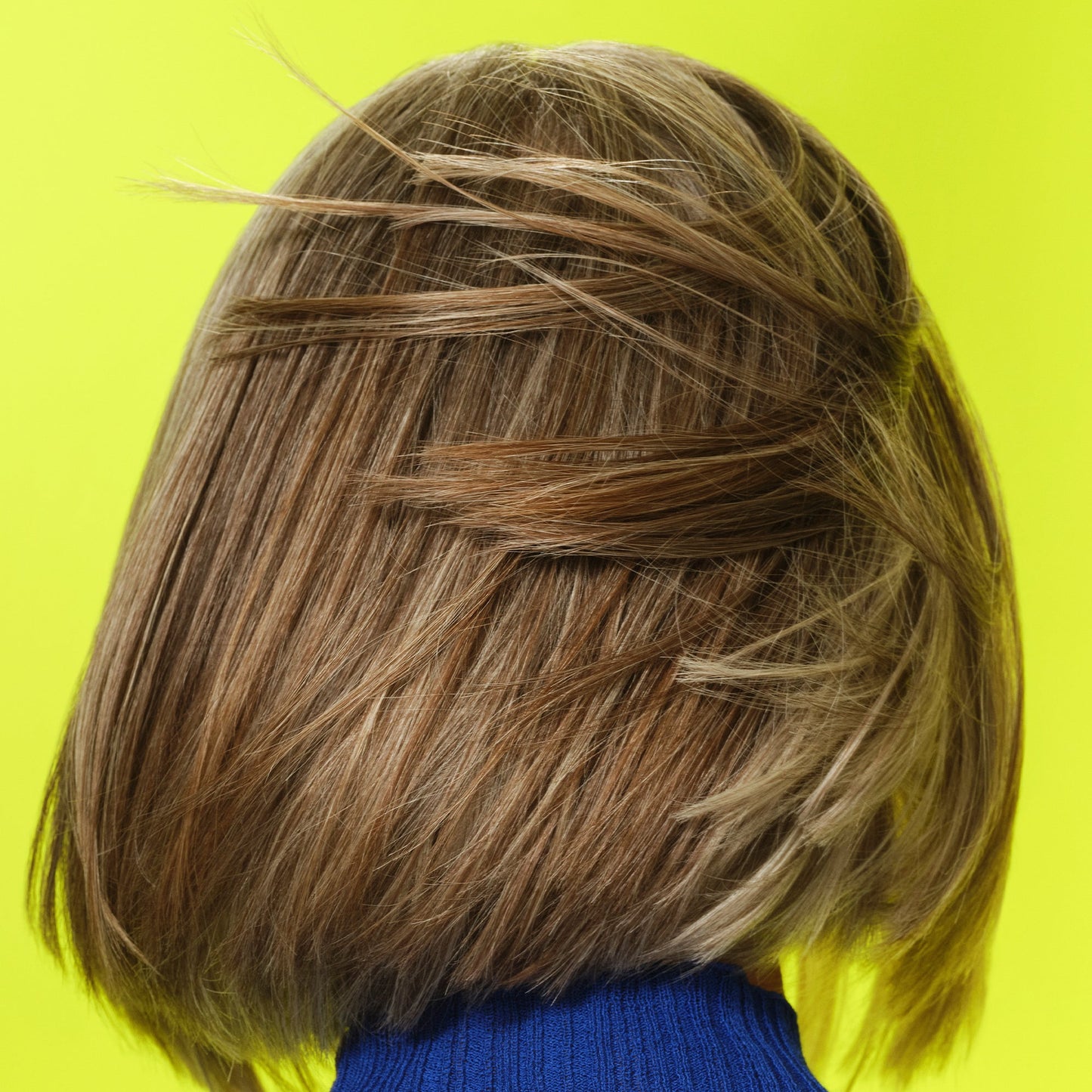 frizz-to-rizz-trio-o4 111725_Vicky_HumidityAntifrizz-Editorial_0538_w2QC_IGF_1x1_05a09617-4ccf-44a2-8545-199321a503e1.jpg