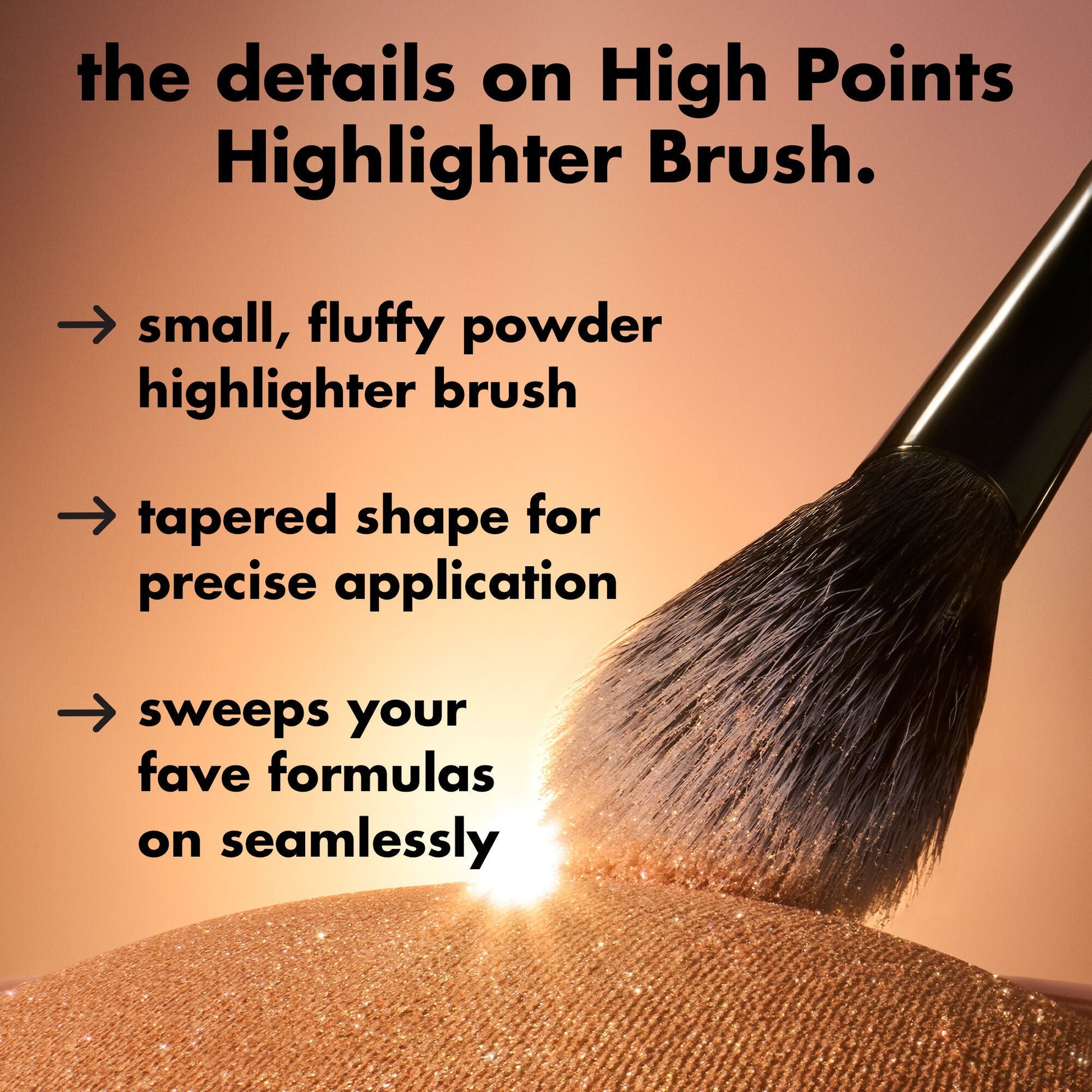 high-points-highlighter-brush-c1 0226_EDU_HighpointsHighlighterBrush_Details.jpg