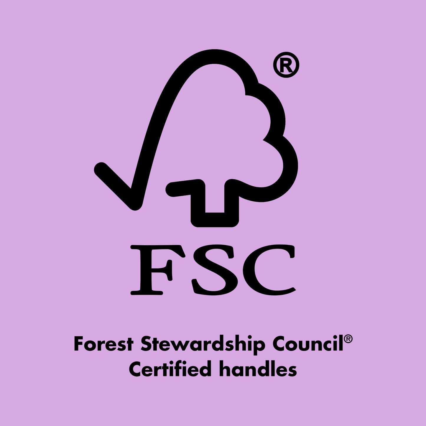 ten-out-of-ten-brush-kit-b3 0423_EDUCATION_FSC_EVERGREEN.jpg