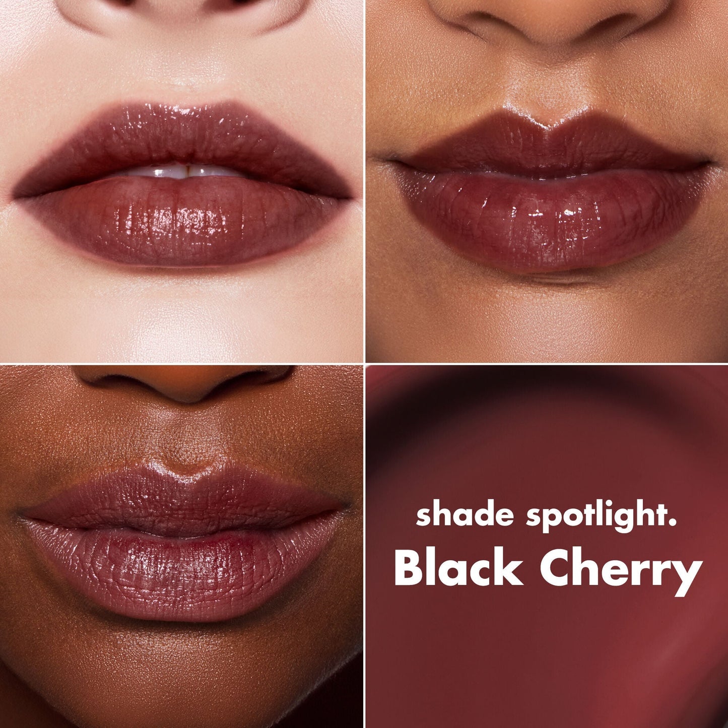 lip-lacquer-w3 0426_EDU_LipLaquer_ShadeChart_BlackCherry.jpg