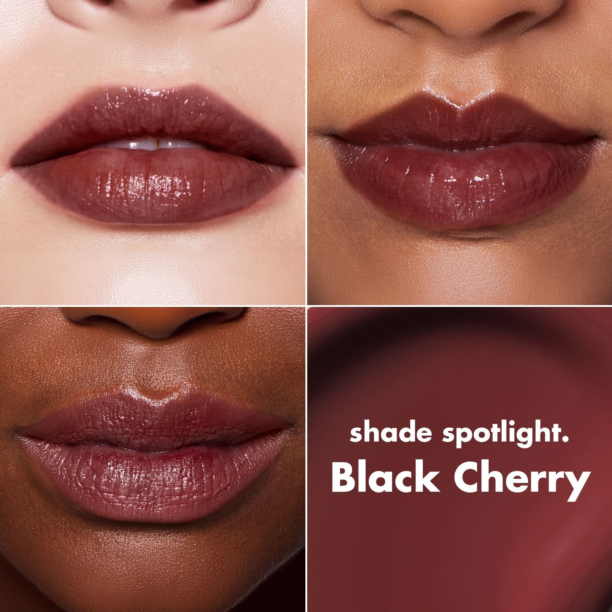 lip-lacquer-w3 0426_EDU_LipLaquer_ShadeChart_BlackCherry.jpg