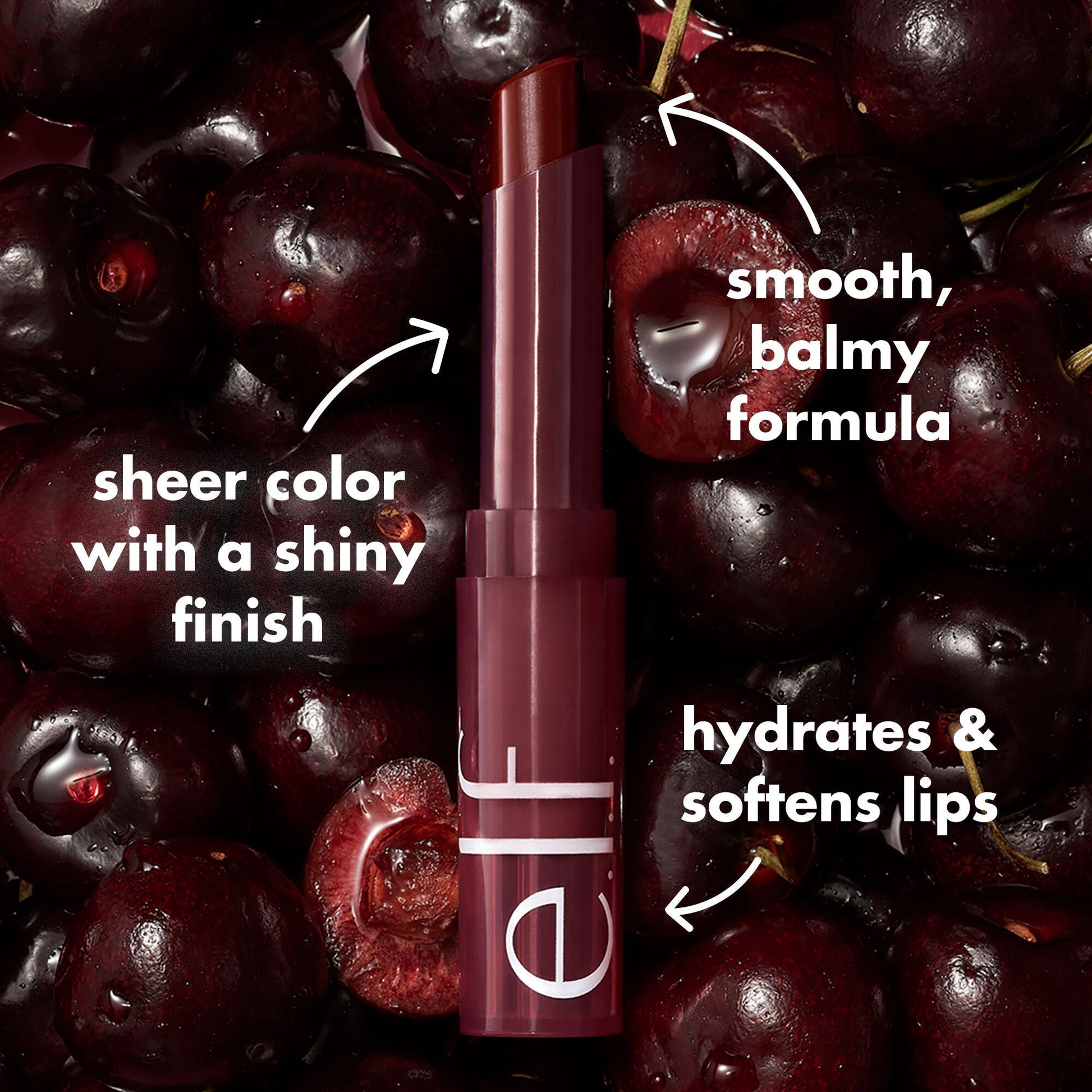 sheer-slick-lipstick-black-cherry-black-cherry-n8 0723_EDU_PDP_SHEERSLICK_BLACKCHERRY_PRODUCTINFO.jpg