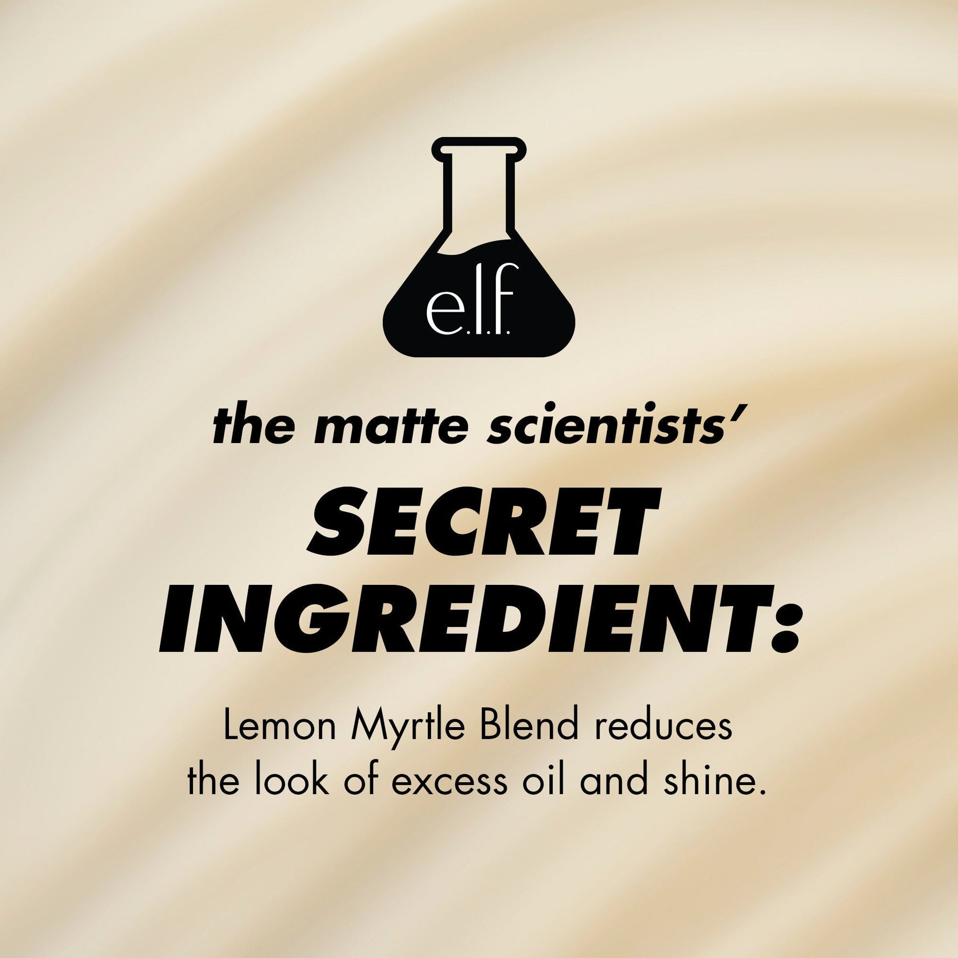 power-grip-matte-primer-y0 1224_EDUCATION_PGMATTE_INGREDIENT_b9de063f-aeb5-403f-9709-c3cafbf9c9d1.jpg