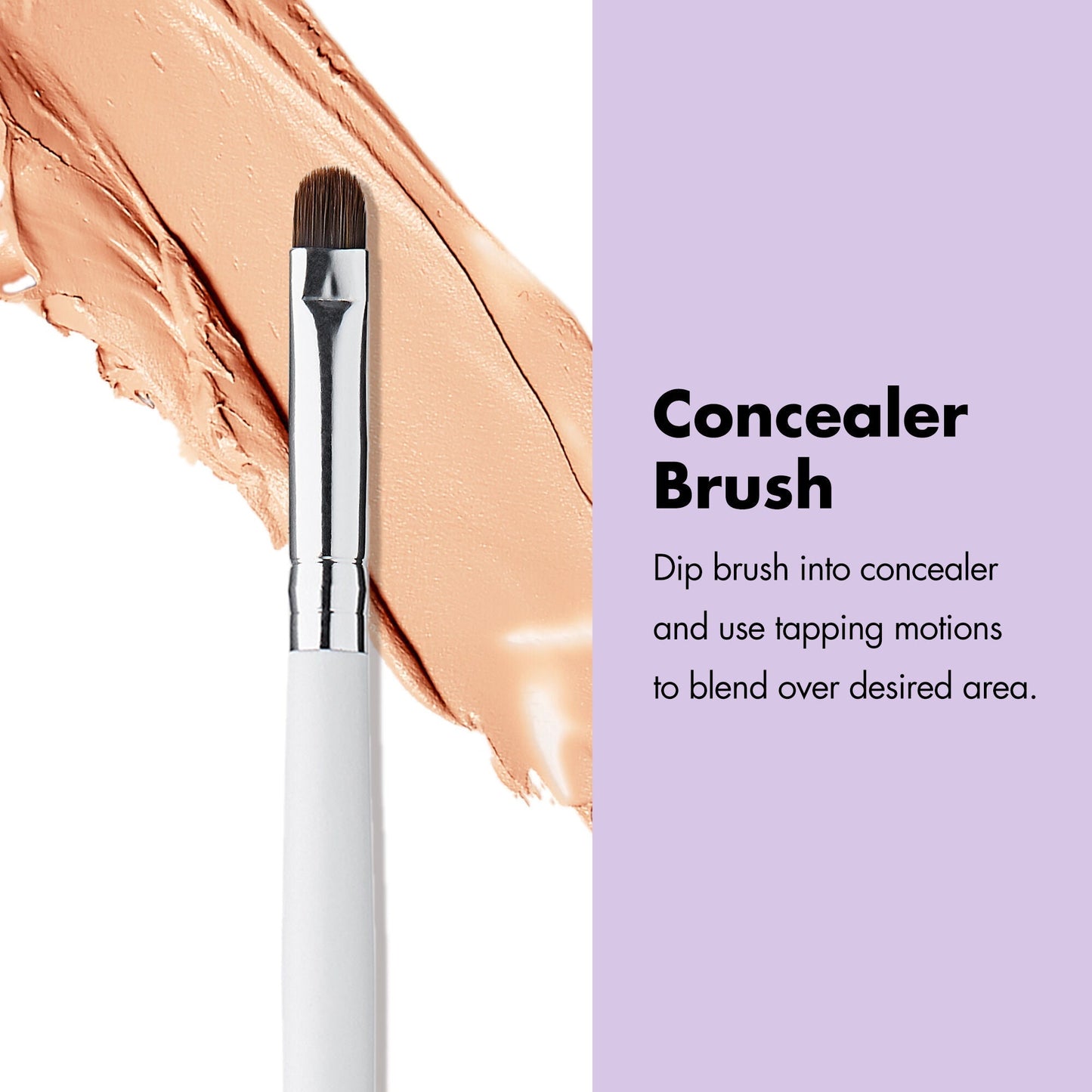 professional-set-of-12-makeup-brushes-t6 ProfessionalBrushes_Face_ConcealerBrush_PDP_Edu_2000x2000_c20f9a05-159c-486a-a163-69a26285b55d.jpg